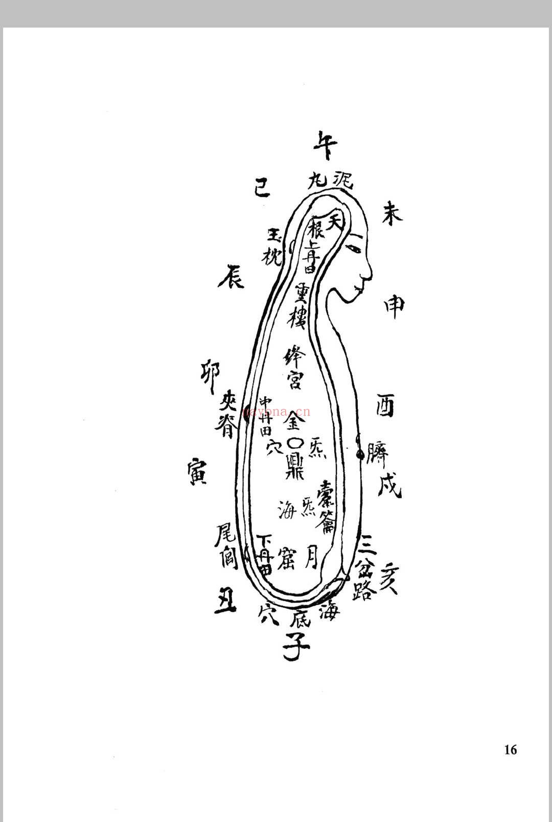 九天紫府金丹秘旨
