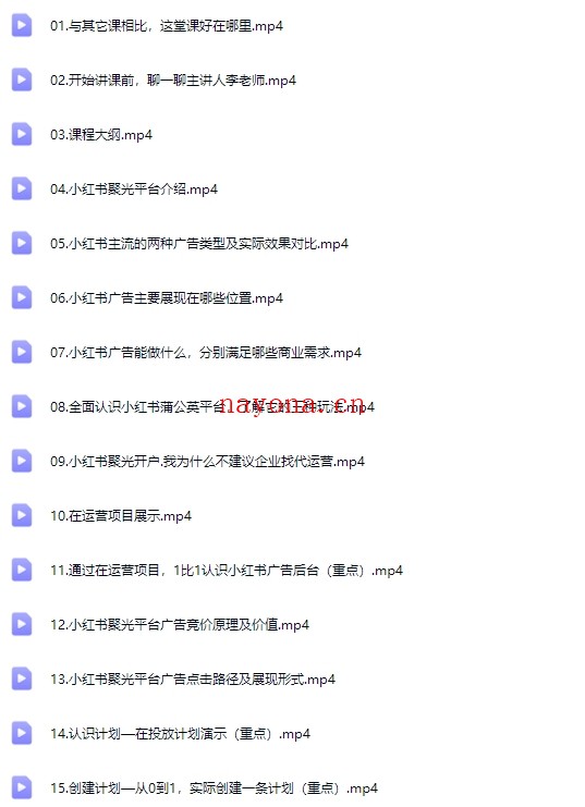 小红书运营投流从0到1的实战【Bb-0133】