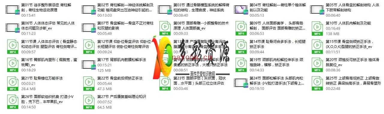 牛婷-宫廷柔式整骨术
