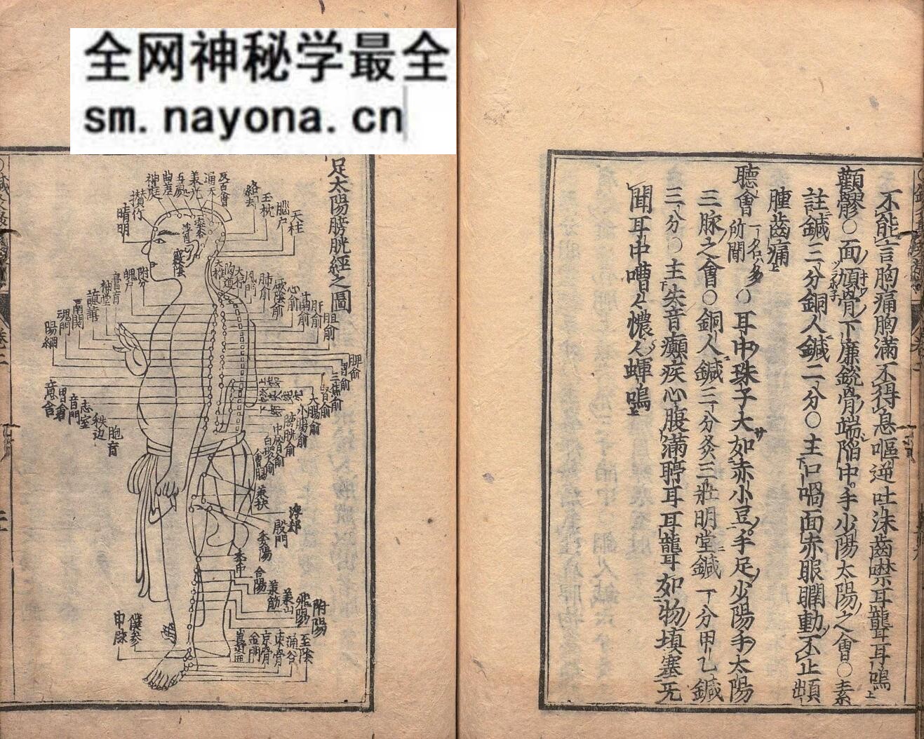 《针灸聚英发挥》