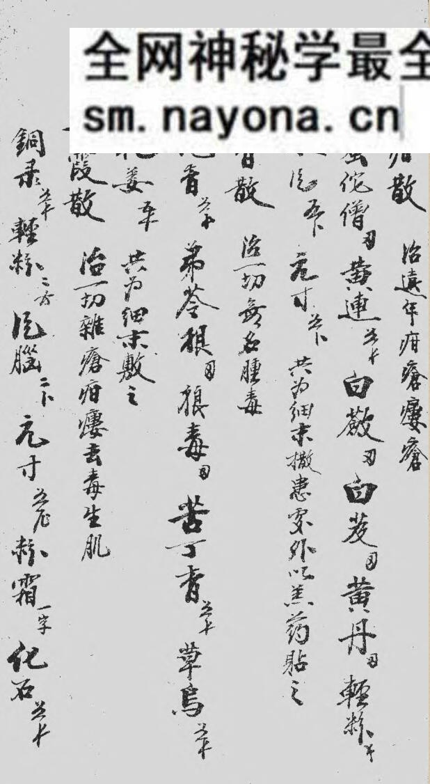 《家抄药方》