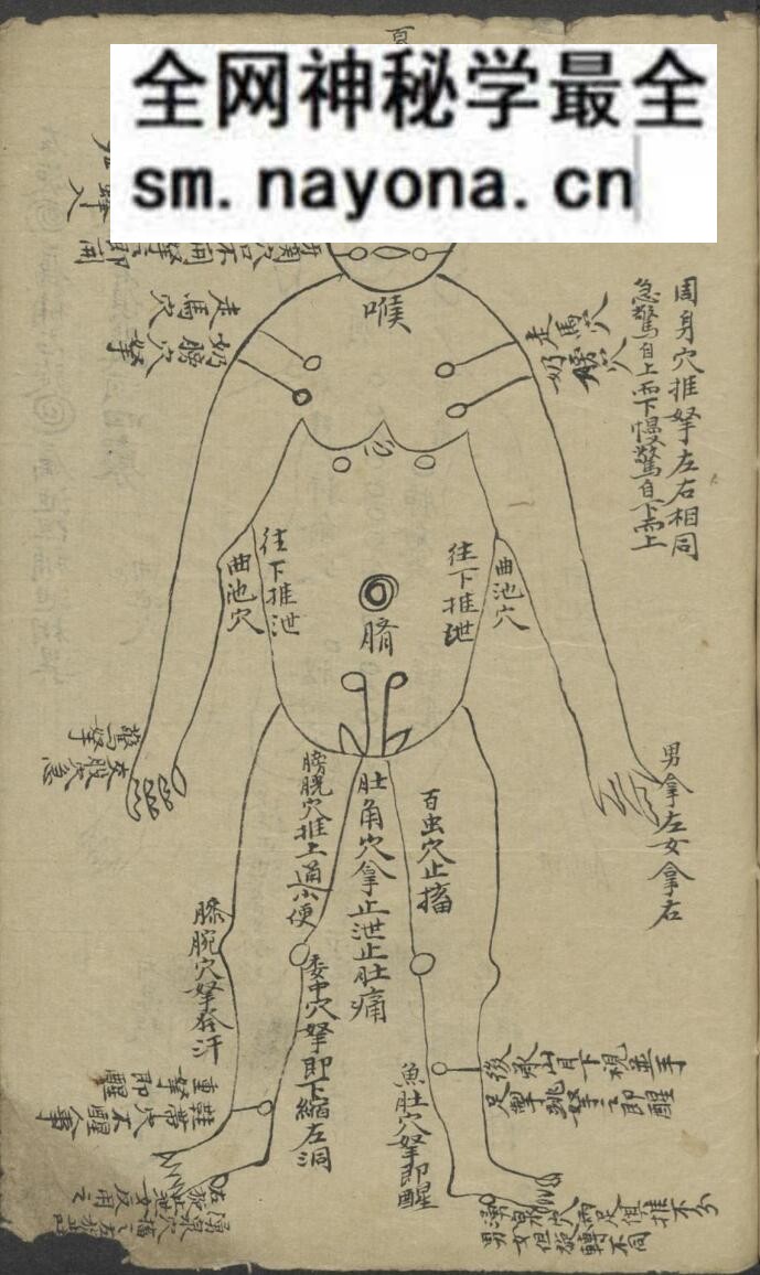 《小儿推拿》