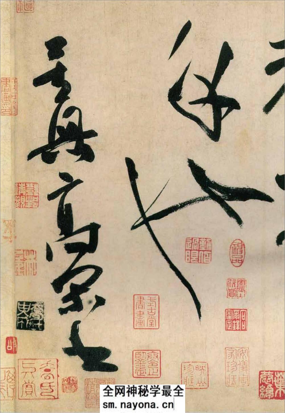 (唐)高闲草书千字文(缺字) - 第18页预览图