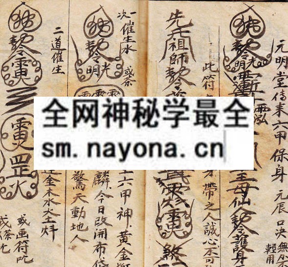灵符科式  （原书）