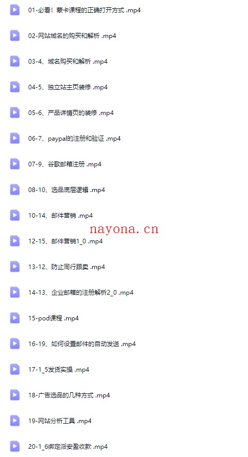跨境电商独立站训练营，从小白到精通手把手教你做跨境+独立站建站实战课【Aa-0069】