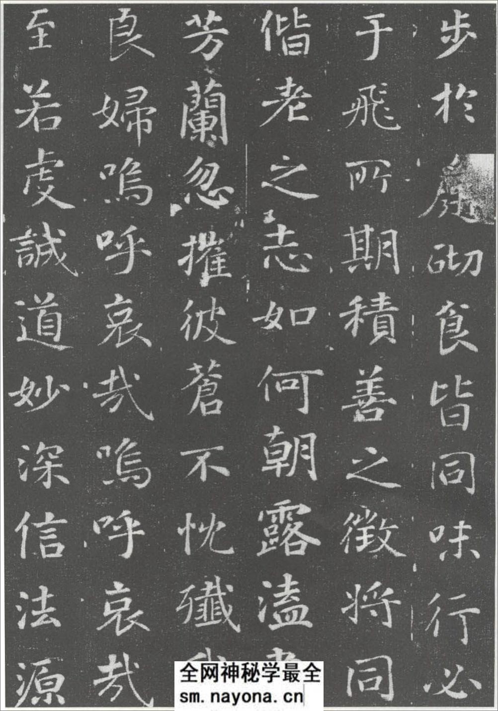 (唐)徐浩楷书李岘妻独孤峻墓志铭 - 第11页预览图