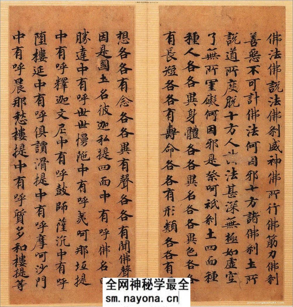 (唐·小楷) 兜沙经 - 第8页预览图