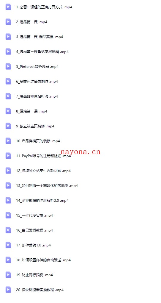 独立站入门指南:从选品到建站,全面解析跨境电商独立站运营技巧与爆品【Aa-0062】