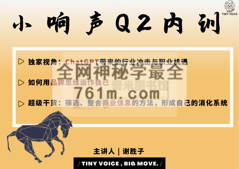谢胜子-商业思维运作自己+商业学习方法-内训Q2 资料
