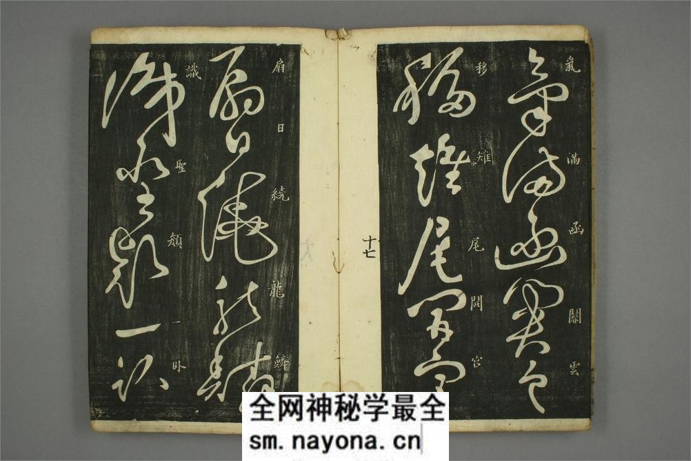 (唐)怀素草书秋兴八首(日延保版) - 第19页预览图