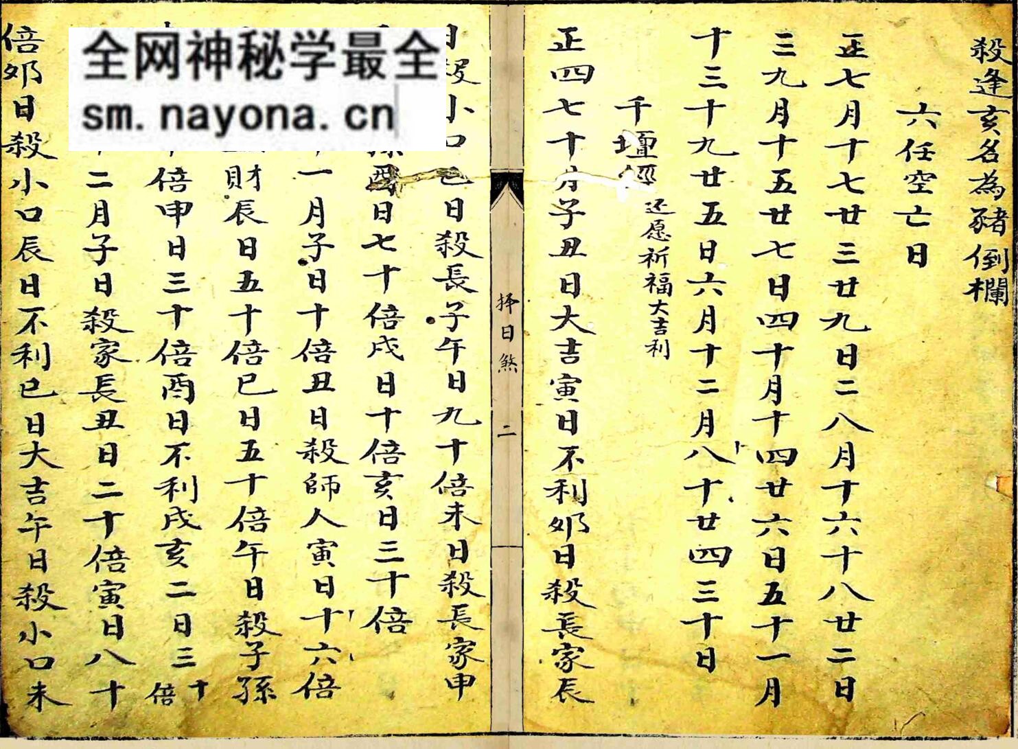 《择日煞》