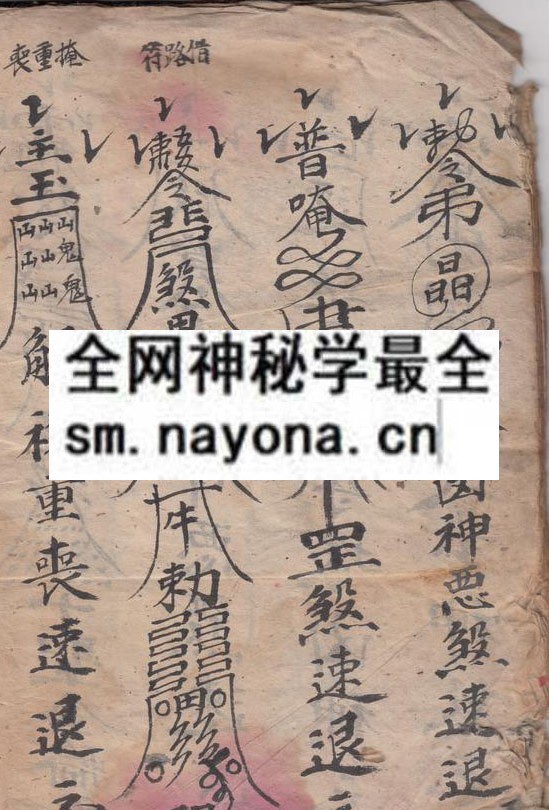 録集取坟书  （原书）
