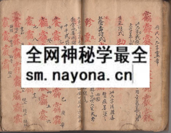 1758335468229597.jpg 南极天华宝録祝由科(电子版)