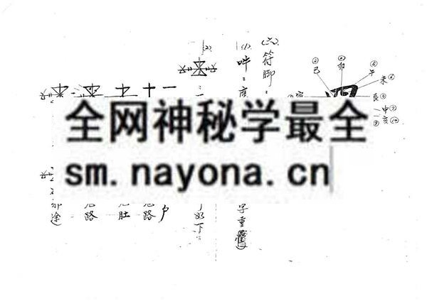 闾山本门符箓（只售电子版）