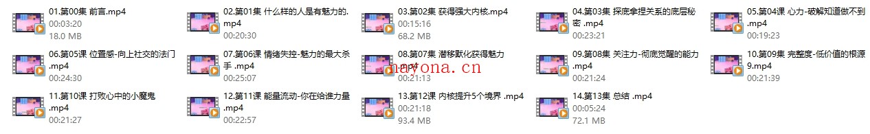 白鸭《核心魅力炼成-训练课》