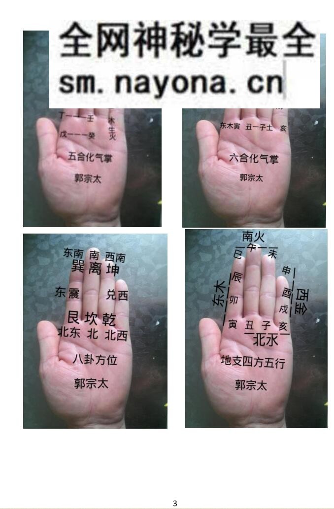 《易学130种掌诀》