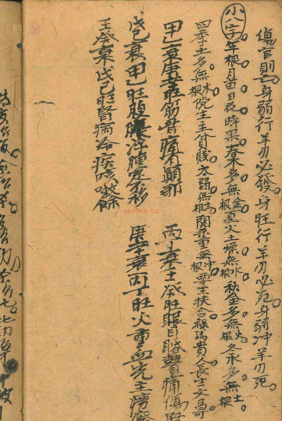 万命归宗