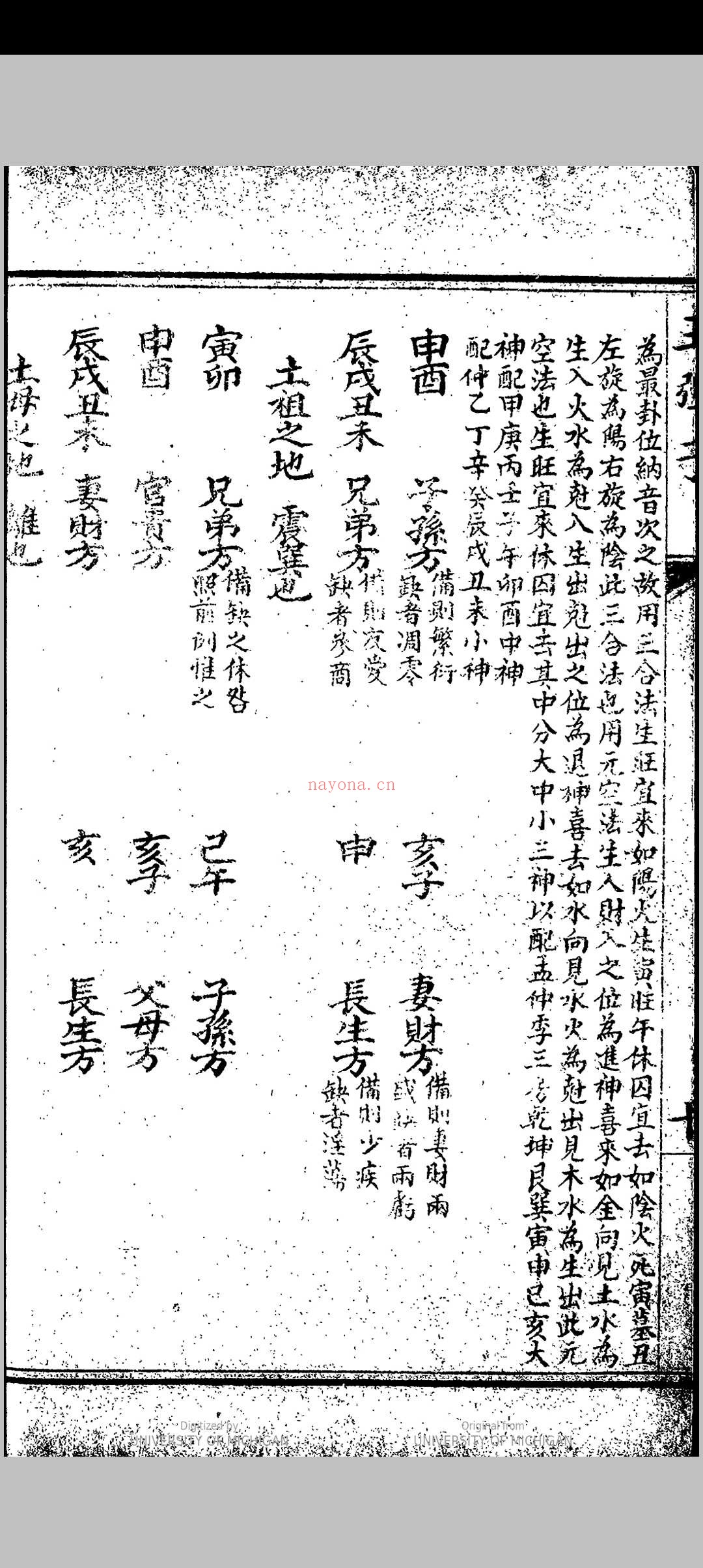 地理四弹子