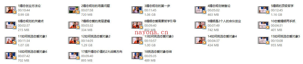杨平婚恋规划课一阶段《选夫术》