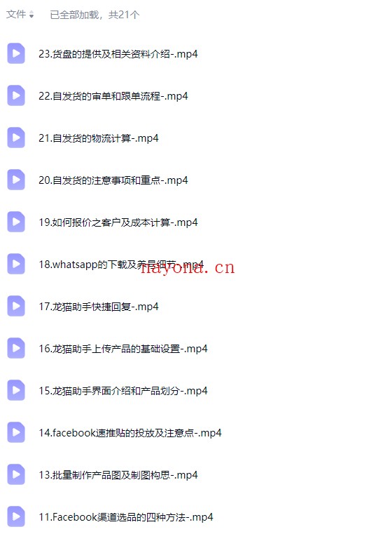 Facebook中东成人用品实战，掌握从0到1运营中东Facebook商城，快速提升订单转化【Ab-0078】