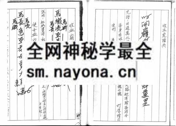 1681776572153824.jpg 闾山符章(只售电子版)