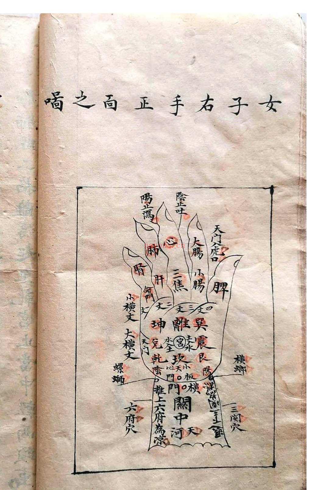 《祖传小儿科神火经纹秘诀》
