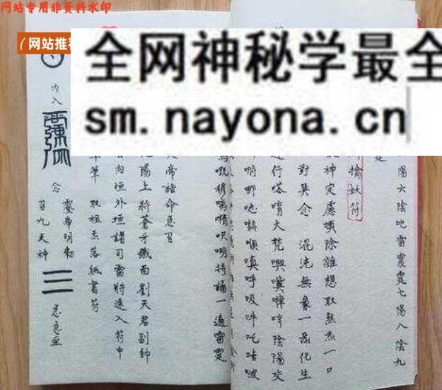 《 洞神刘天君神霄雷法集》
