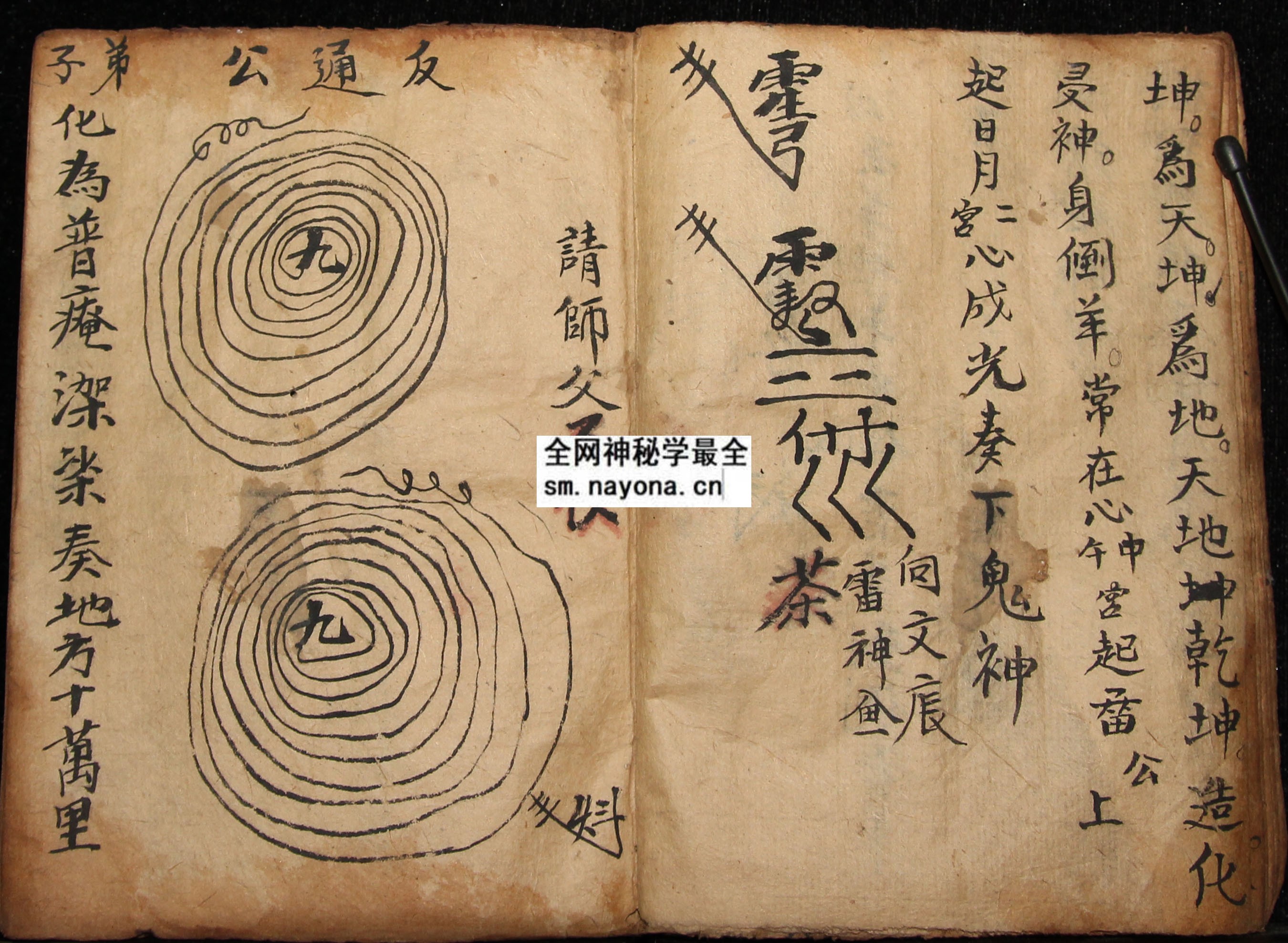 1747987899956334.jpg 化身符科 (电子版)