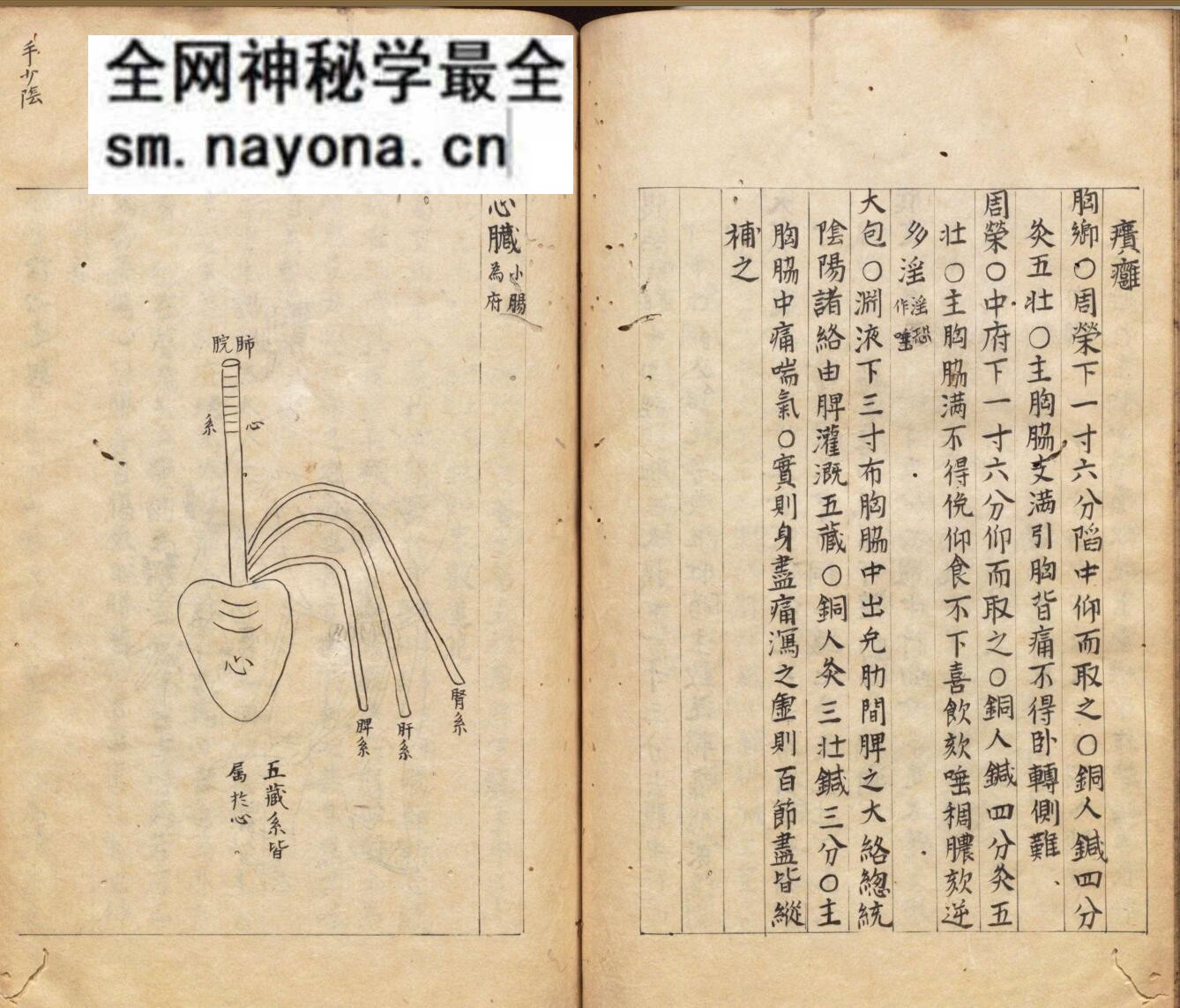 《针灸聚英》