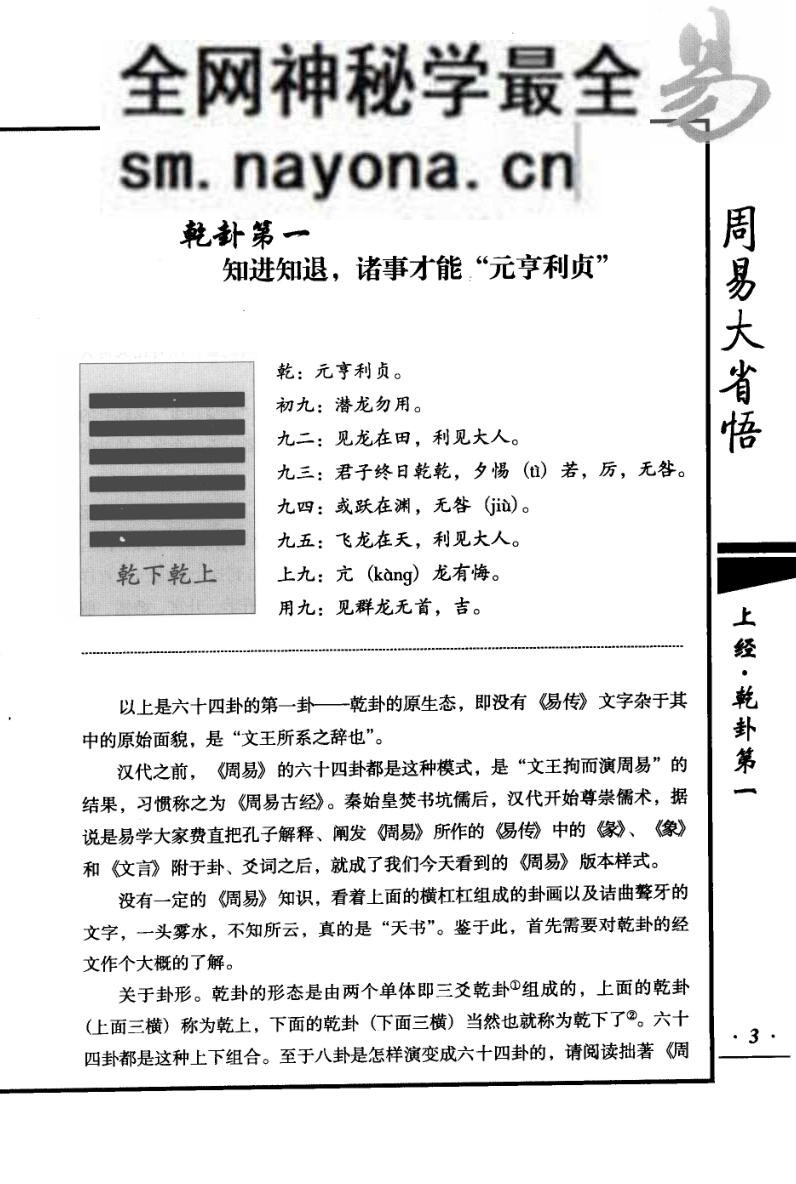 周易大省悟 (张绍金)