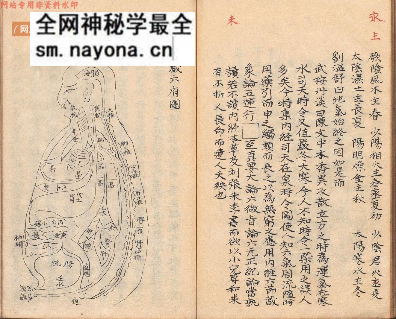 中医痘科古籍《痘疹正宗》高武