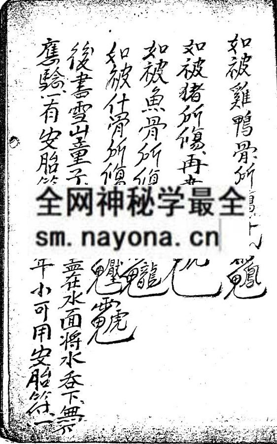 金玉上帝（电子版）