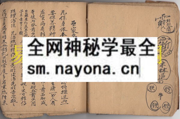 1742975314785939.jpg 符显药灵 (原书)