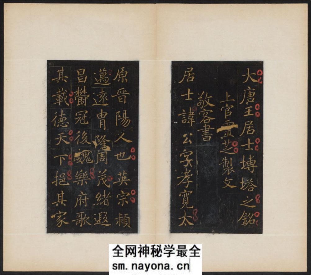 大唐王居士砖塔铭.2种.上官灵芝撰.敬客书.唐显庆三年.658年.清拓本 - 第3页预览图