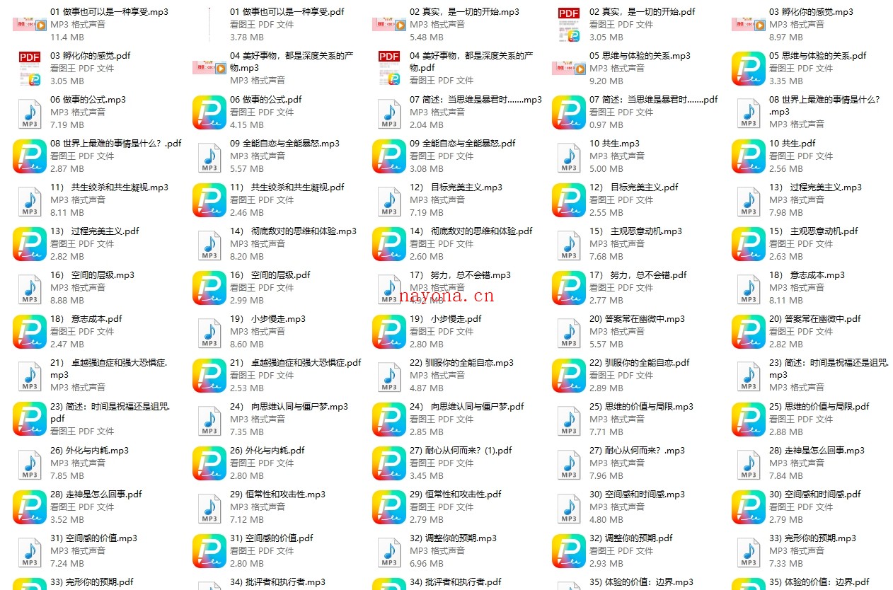 武志红2022年度大课:把事情做好的心理学课