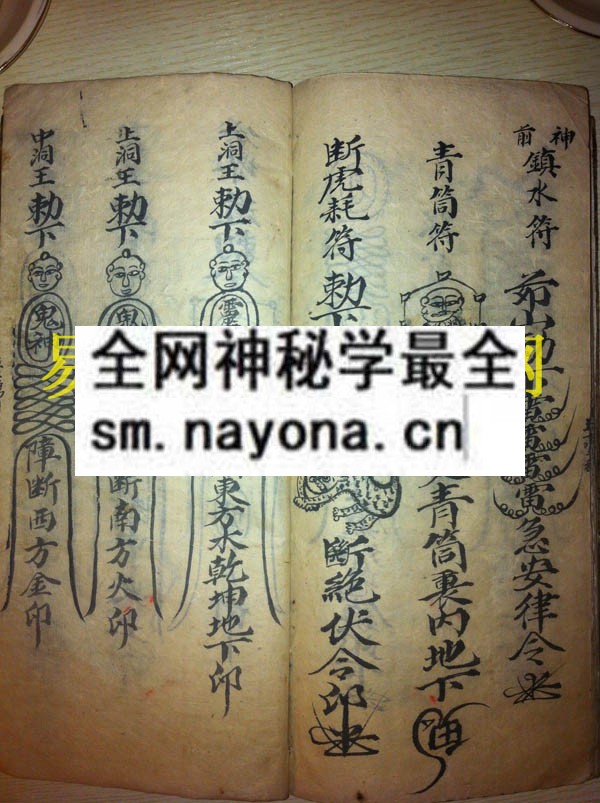 1742454922539248.jpg 大幡封山科 (电子版)