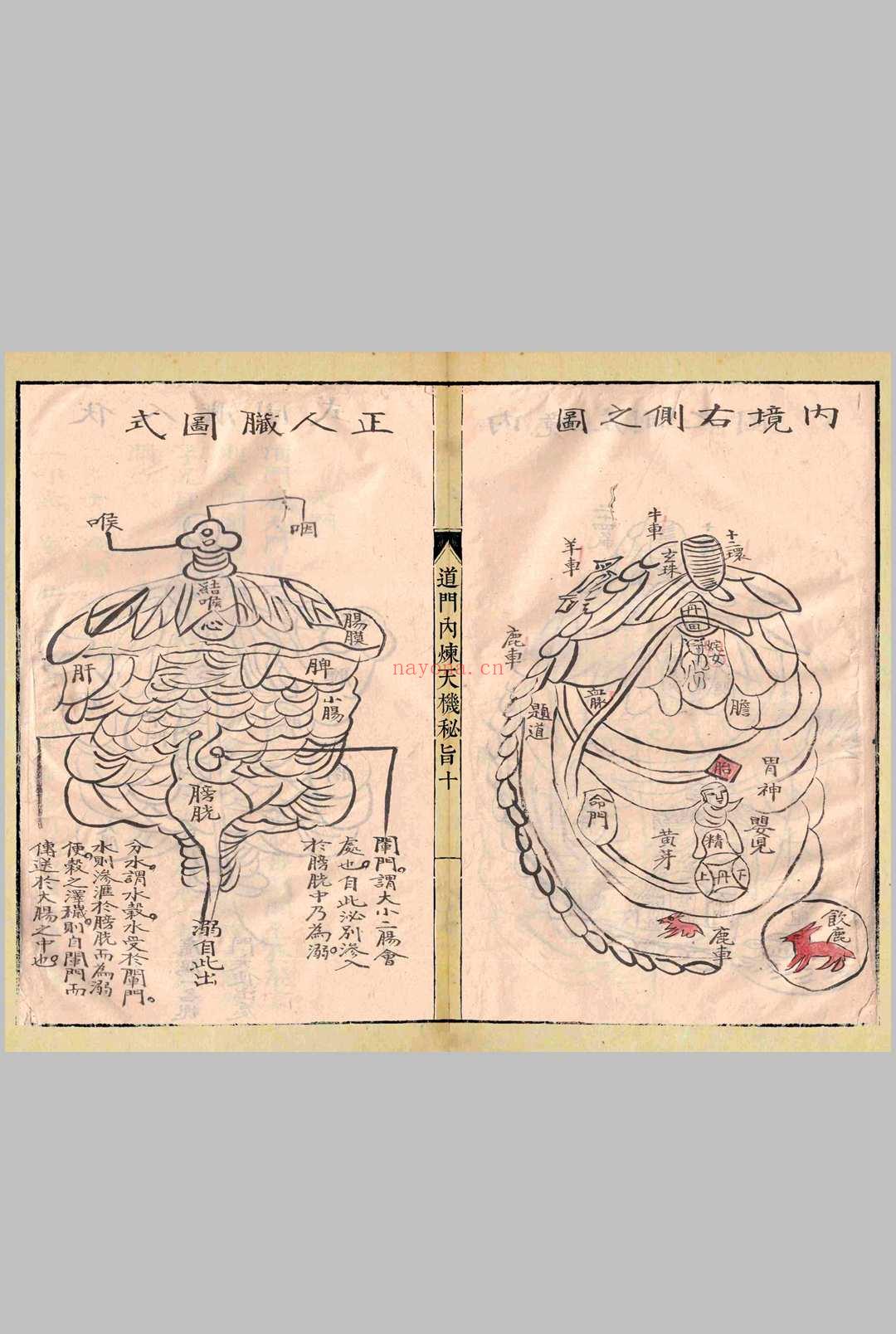 道门内炼天机秘旨