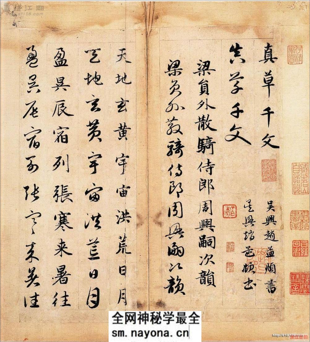 赵子昂真草千字文 - 第1页预览图