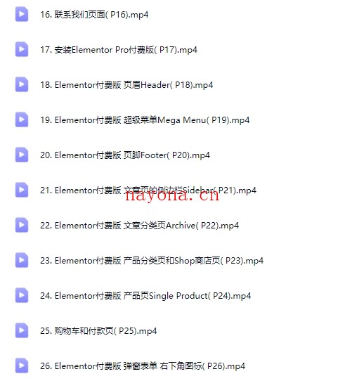 Elementor教程26集(全) – 手把手教你设计WordPress网站【Aa-0068】