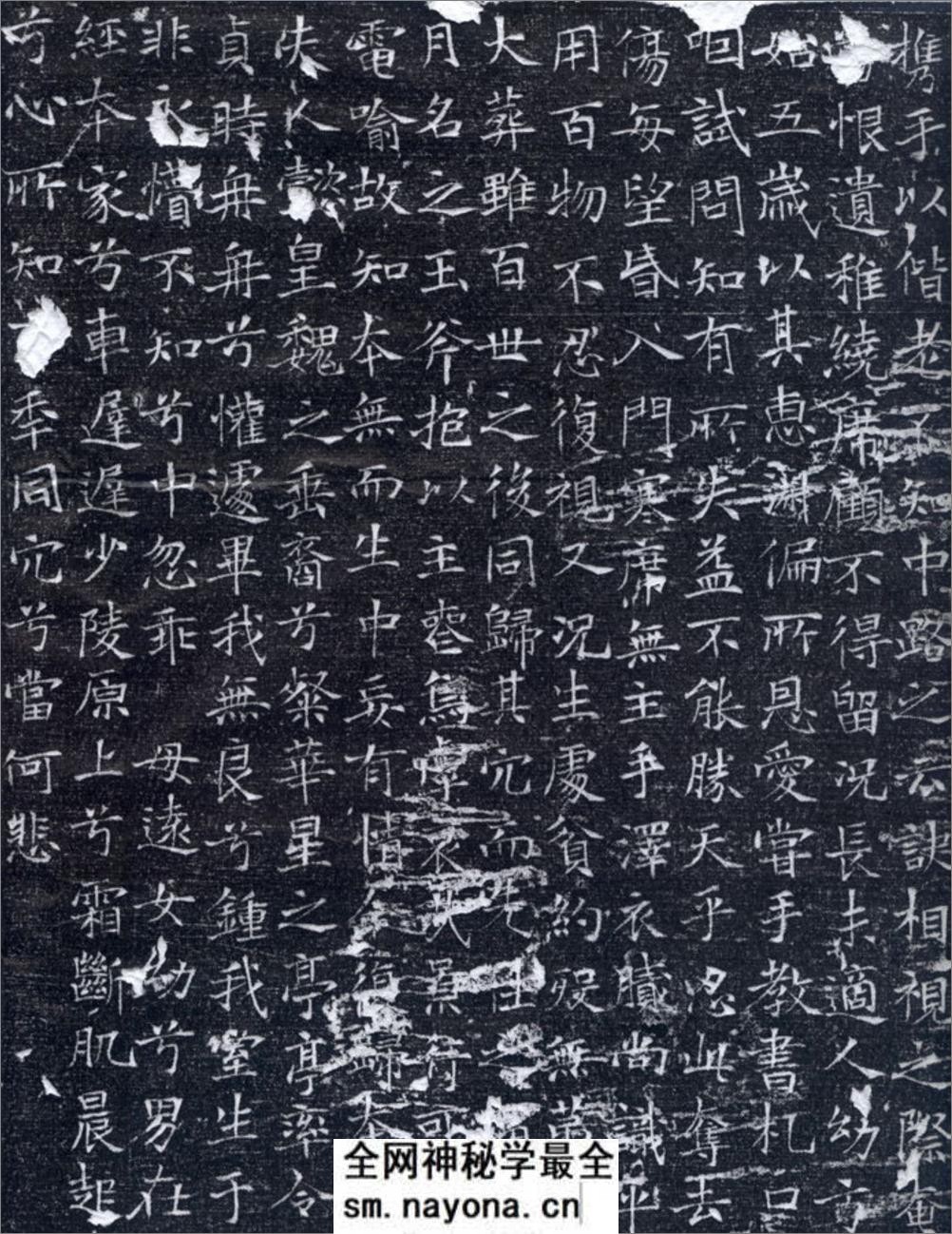 (唐)韦应物楷书元苹墓志铭 - 第3页预览图