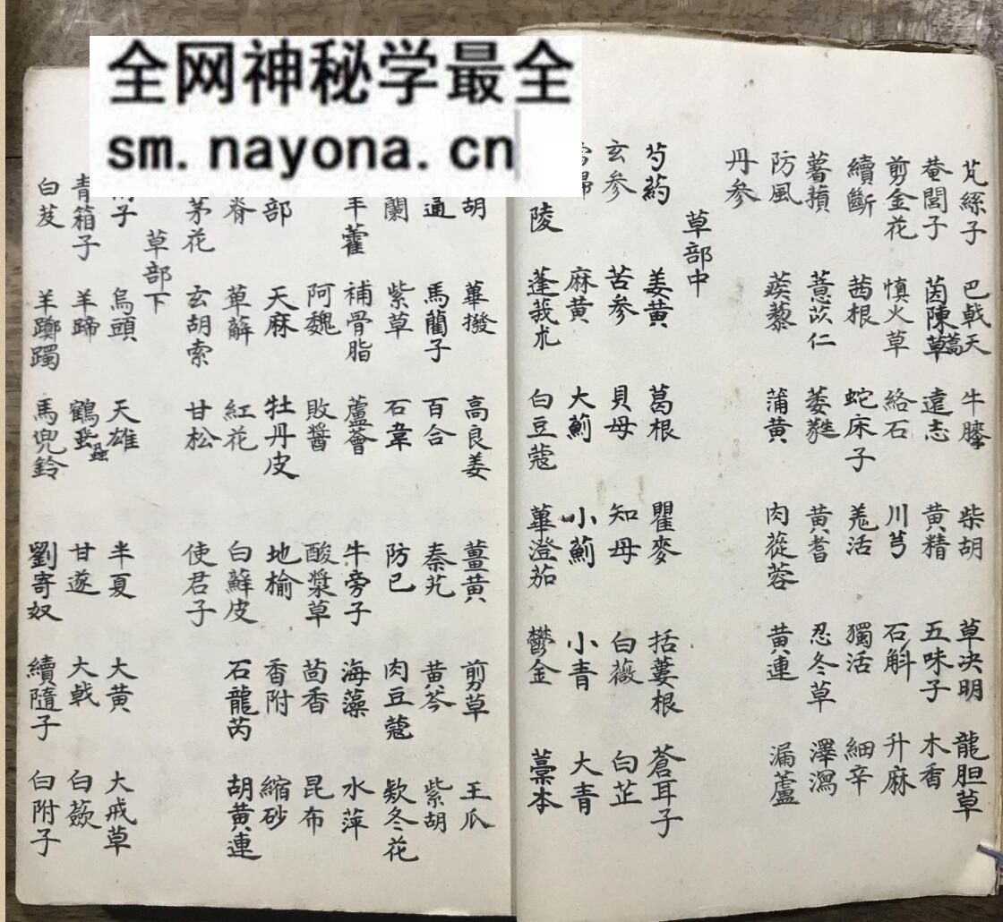 《雷公炮灸》