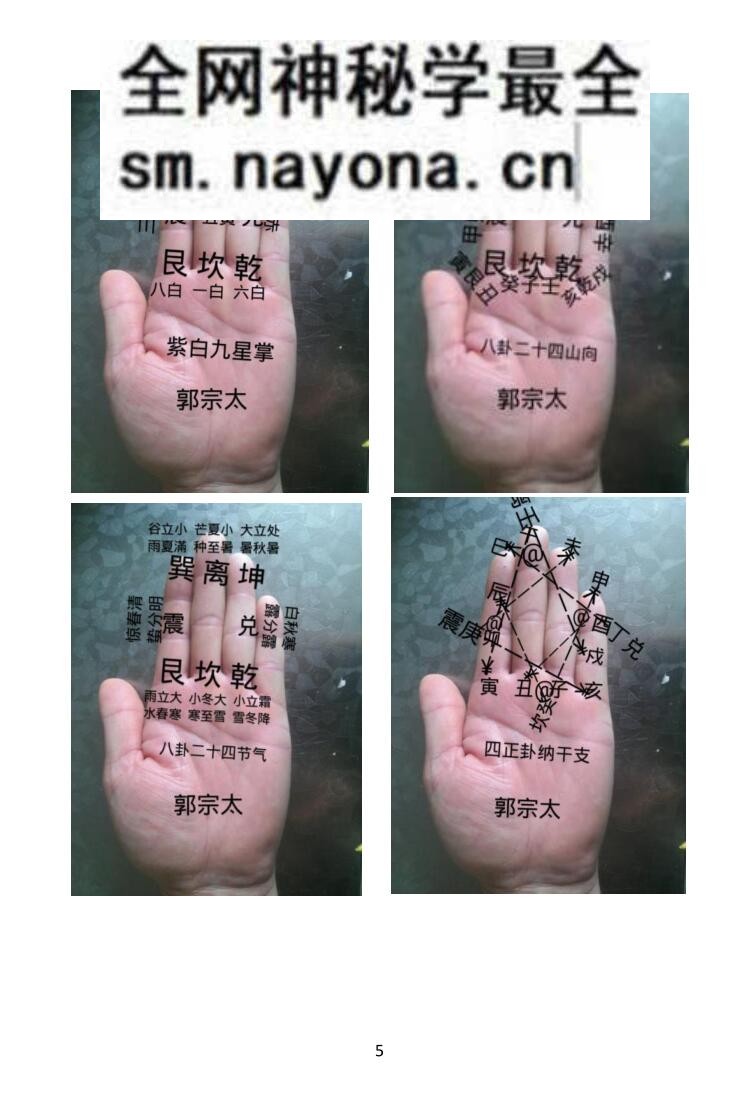 《易学130种掌诀》