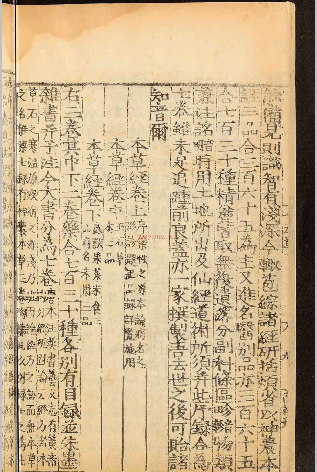 重修政和经史证类备用本草三十卷.唐慎微.明嘉靖三十一年