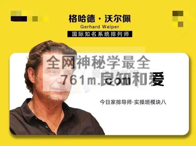 实操模块八“良知和爱”