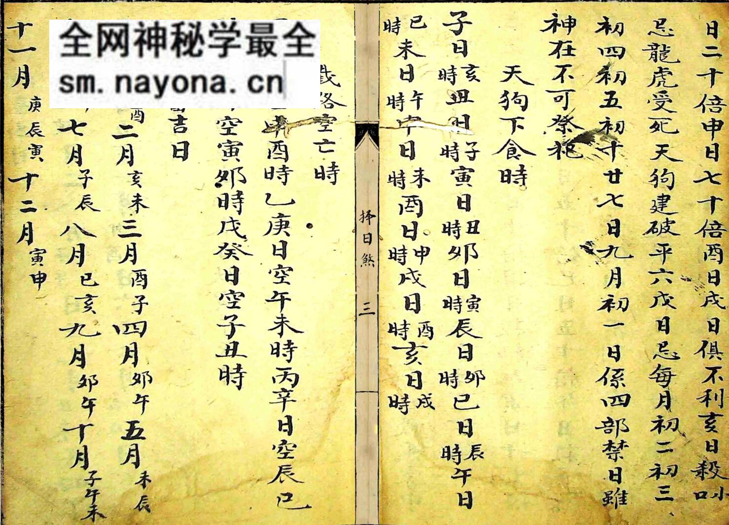 《择日煞》