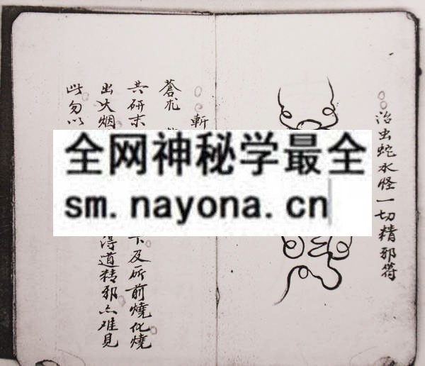1753095031599102.jpg 茅山符章 (电子版)