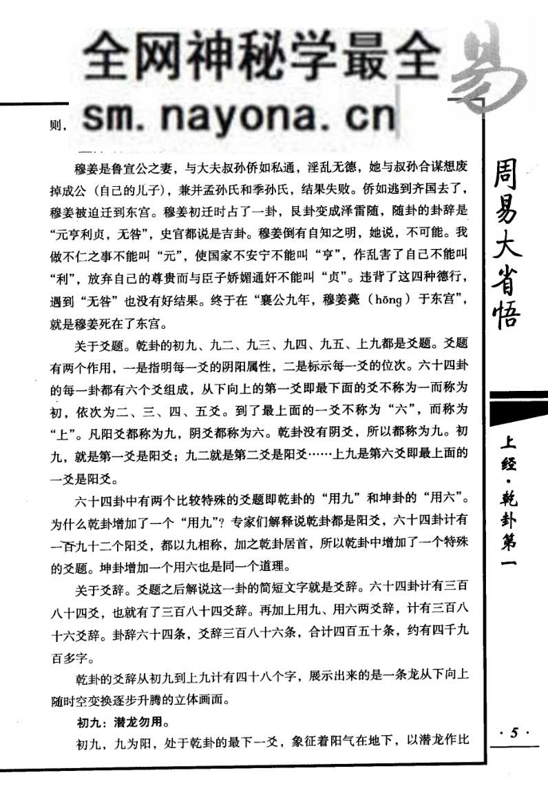周易大省悟 (张绍金)
