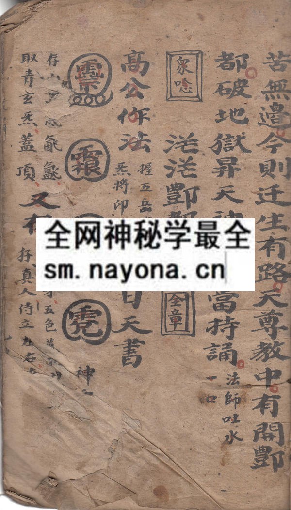 蒙山科  （电子版）