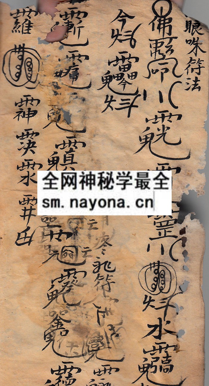 解冤金科  （原书）