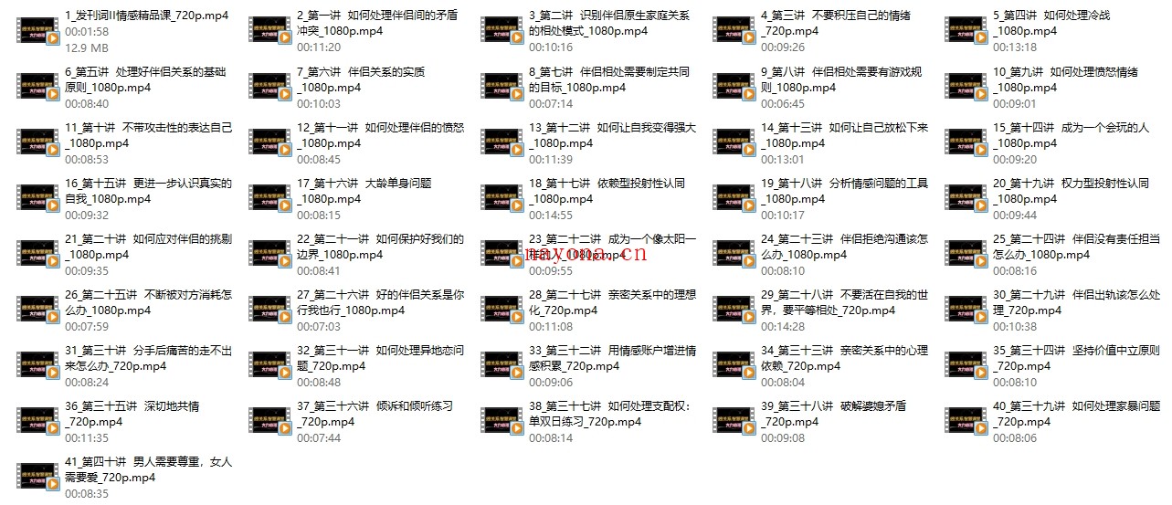 心理师大力《亲密关系情感智慧成长课》